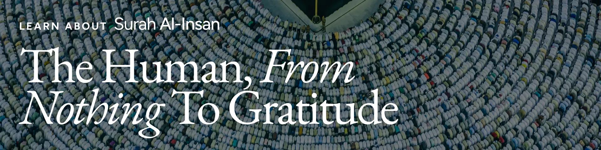 Surah Al-Insan: The Human, From Nothing to Gratitude